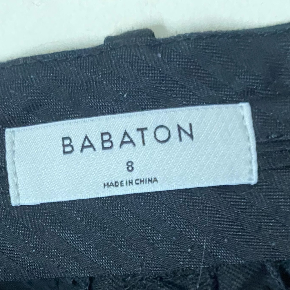 Aritizia Babaton - Pleated Pant - Picture 6 of 13